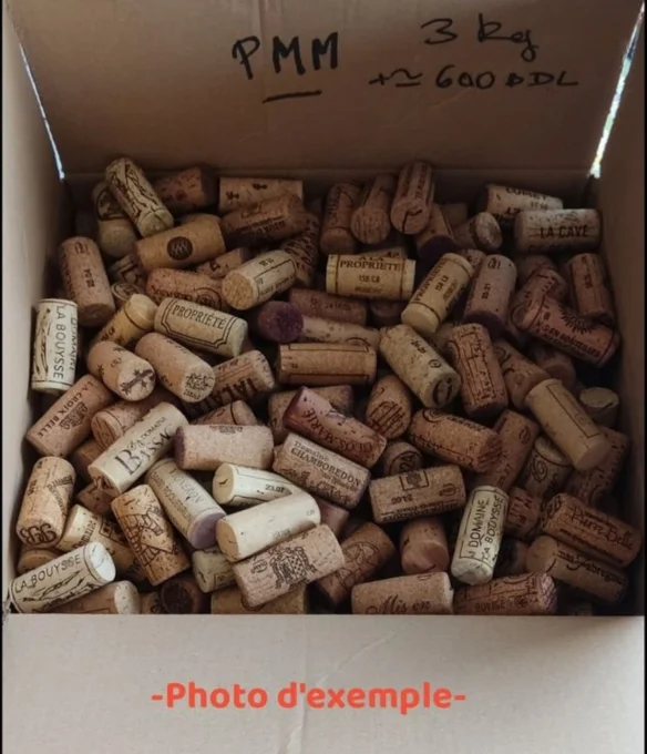 ~600 bouchons Petit Model Mixte