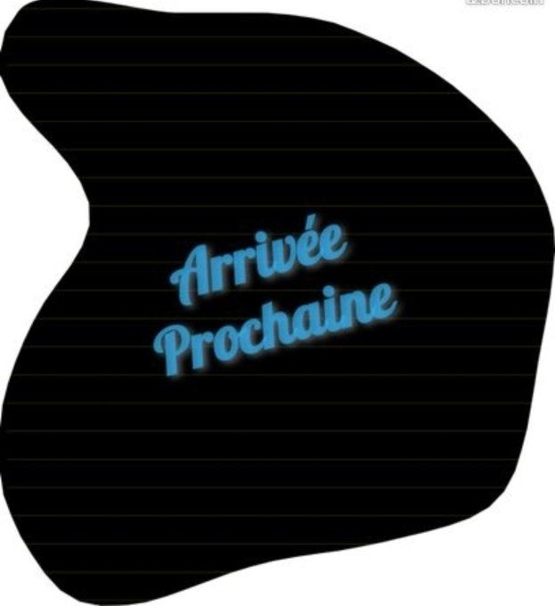 Par 200 Bouchons de liège spécifiques pour créations